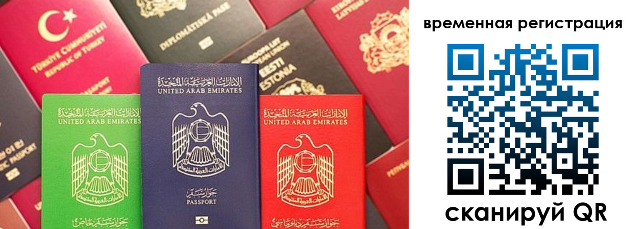 временная регистрация гарантия в Сальске